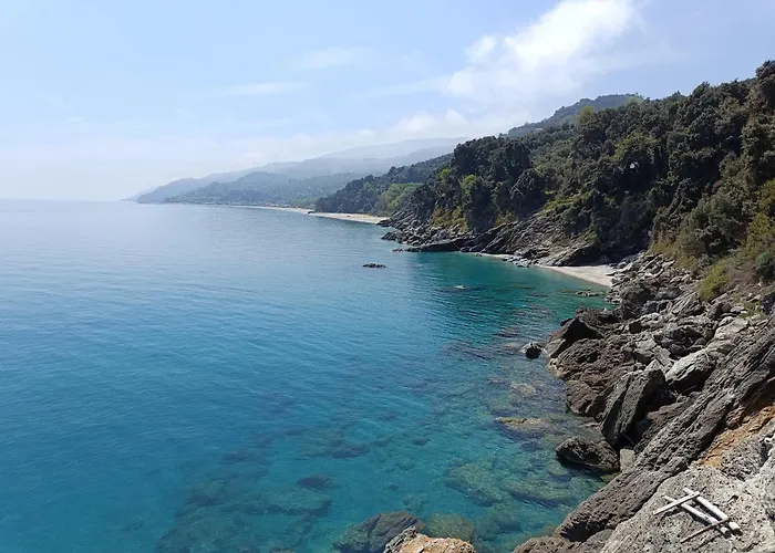 Gocity Apartamento *